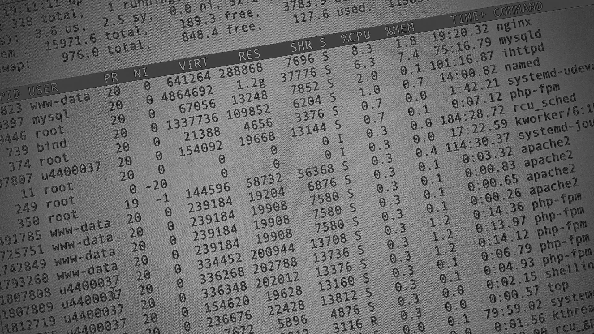 Настройка сервера в Камбарке