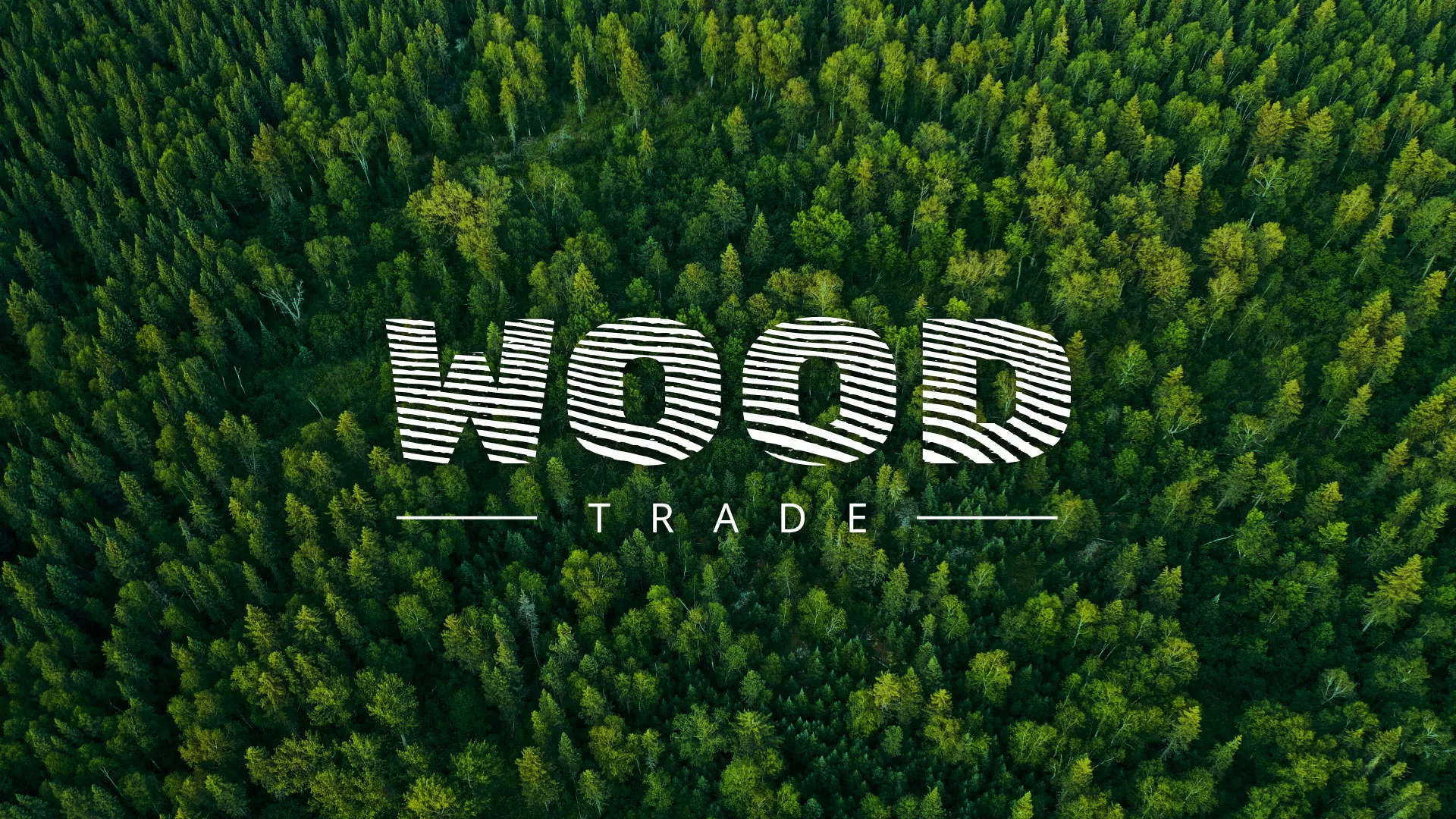 Разработка интернет-магазина компании «Wood Trade» в Камбарке